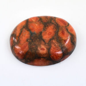 Natural Orange Oyster Turquoise Gemstone | 19.45 Ct Oval Cut | 25 x 20.5 x 5 mm