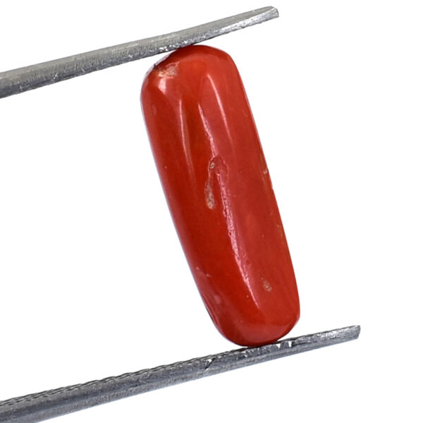 Natural Coral Gemstone – 3.31 Cts Rectangular Cabochon (15.70 x 4.93 x 4.42 mm) | Healing & Astrological Benefits - Image 3