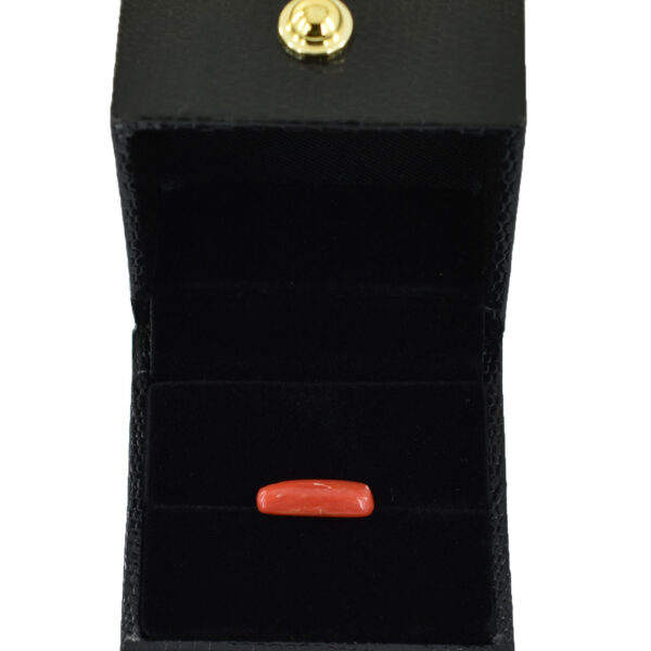 Natural Coral Gemstone – 3.31 Cts Rectangular Cabochon (15.70 x 4.93 x 4.42 mm) | Healing & Astrological Benefits - Image 4