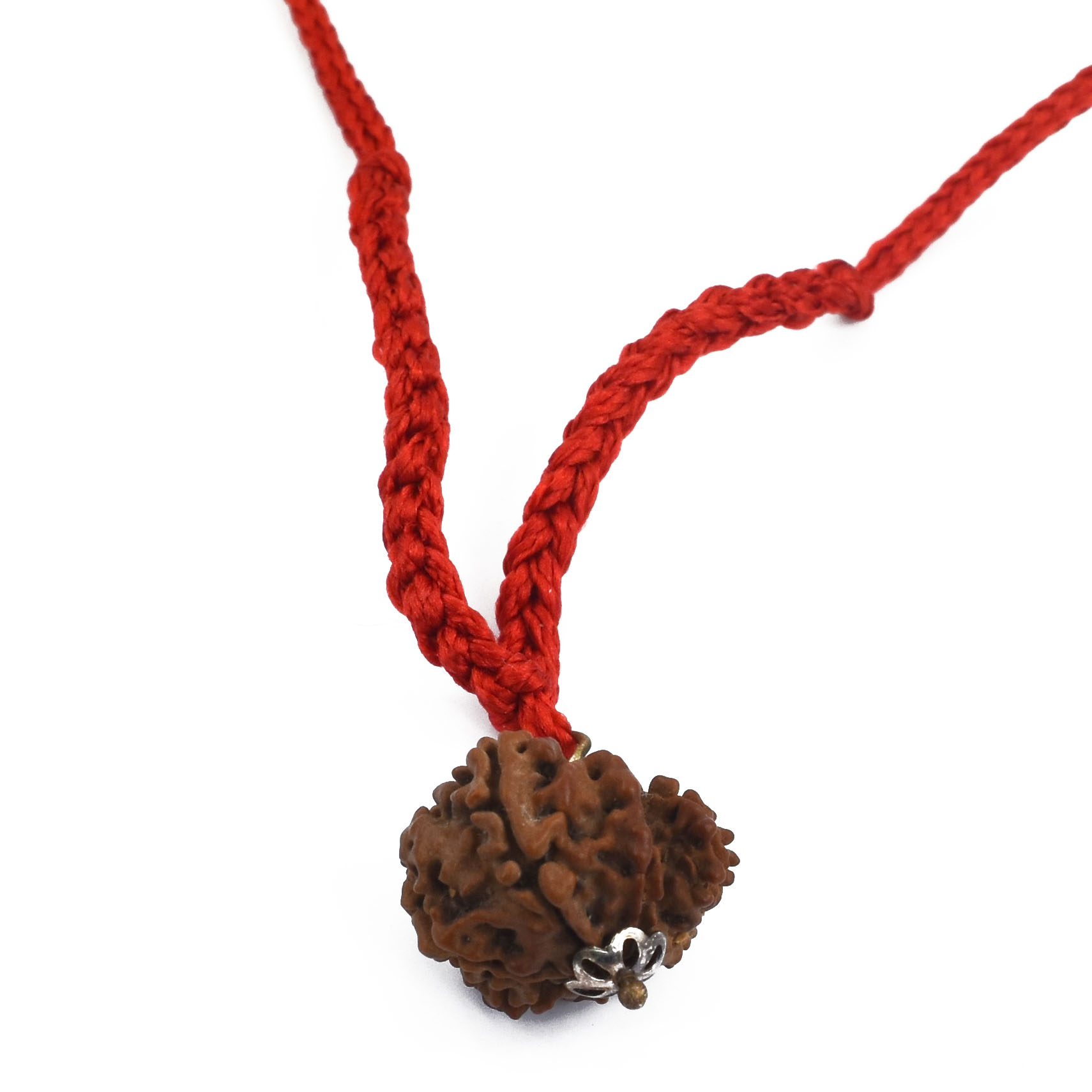10 Mukhi Garbh Gauri Rudraksha Pendant (Nepal Origin) - Image 6
