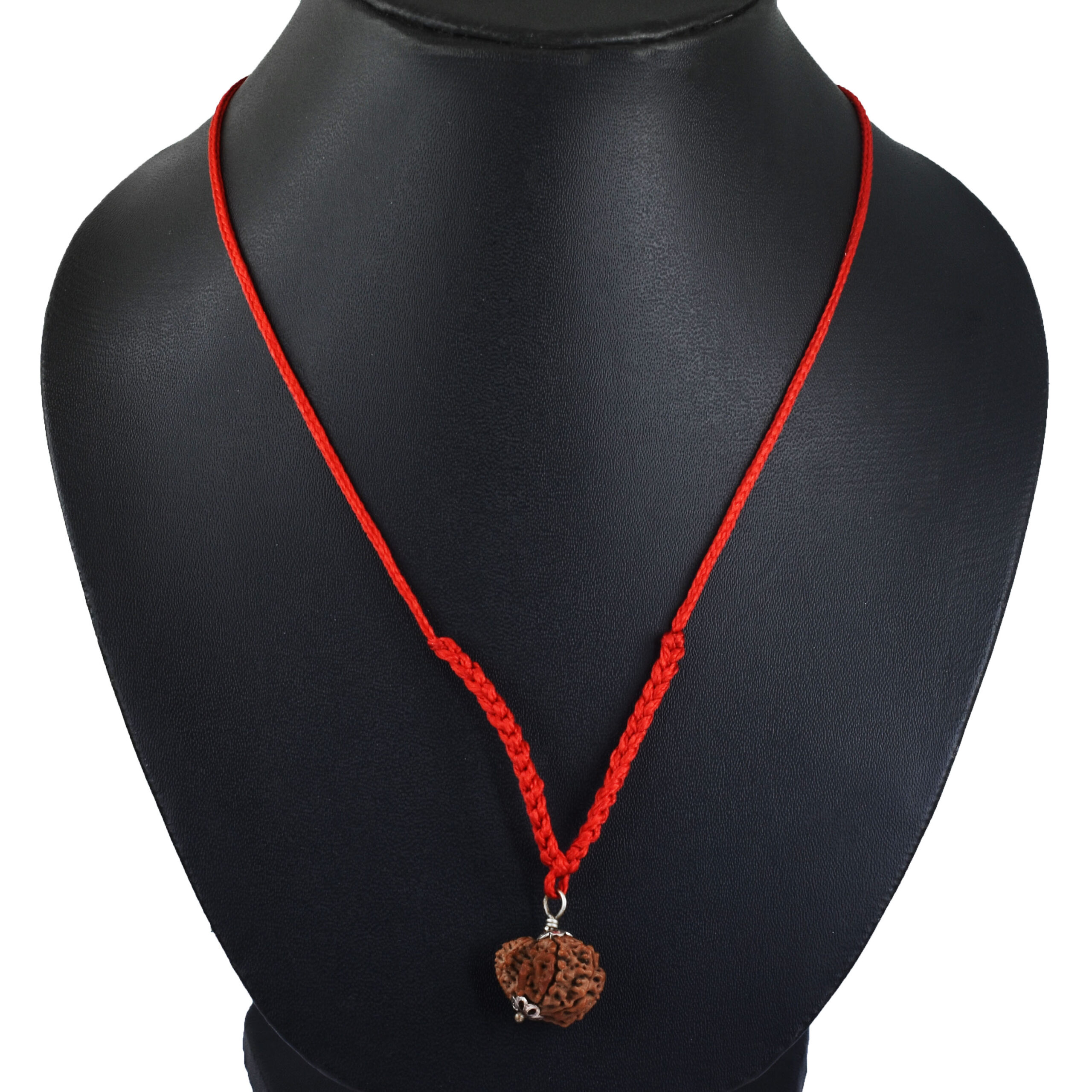 10 Mukhi Garbh Gauri Rudraksha Pendant (Nepal Origin) - Image 5