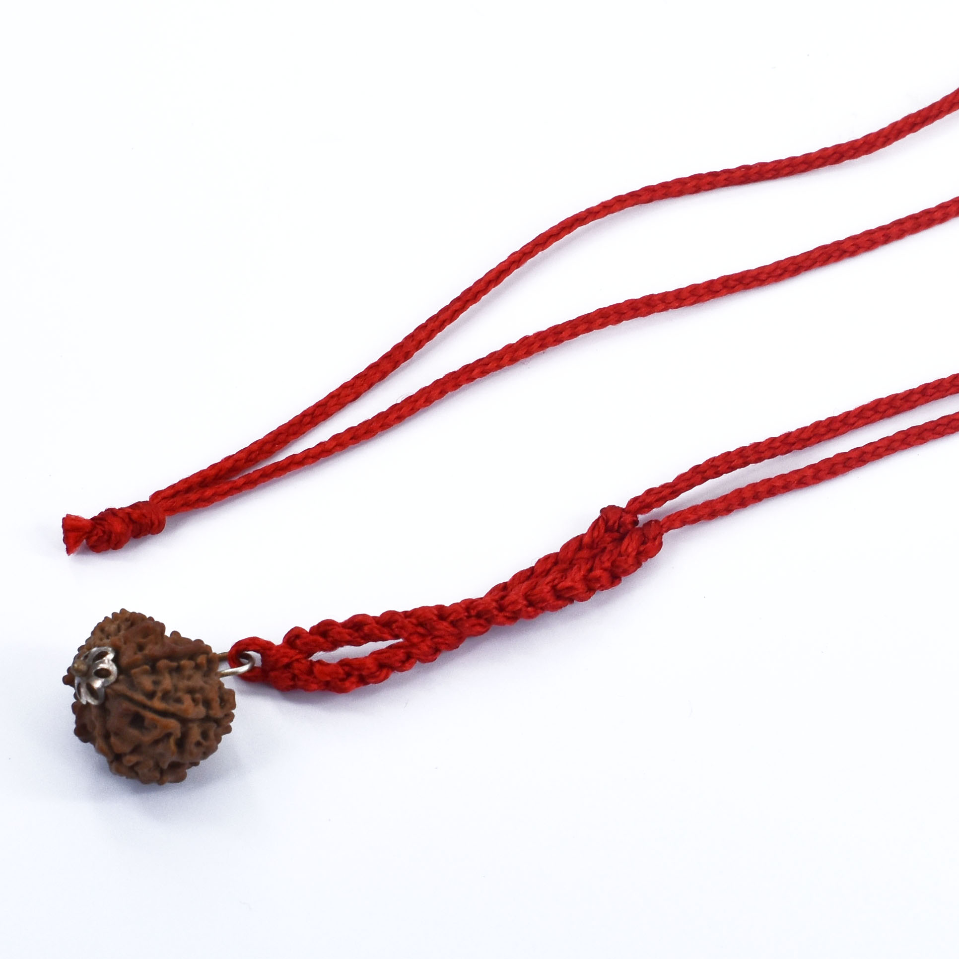 10 Mukhi Garbh Gauri Rudraksha Pendant (Nepal Origin) - Image 4