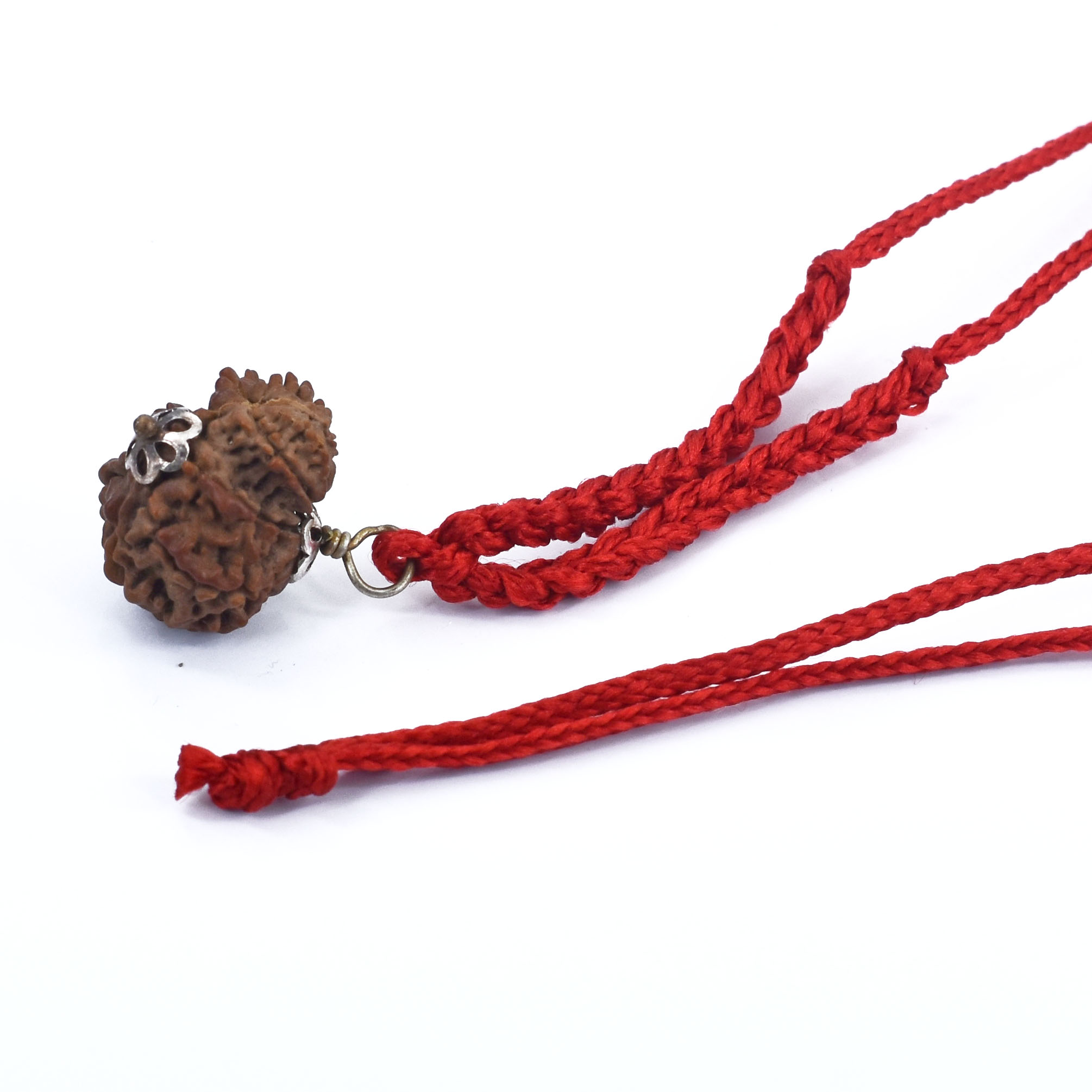 10 Mukhi Garbh Gauri Rudraksha Pendant (Nepal Origin) - Image 3