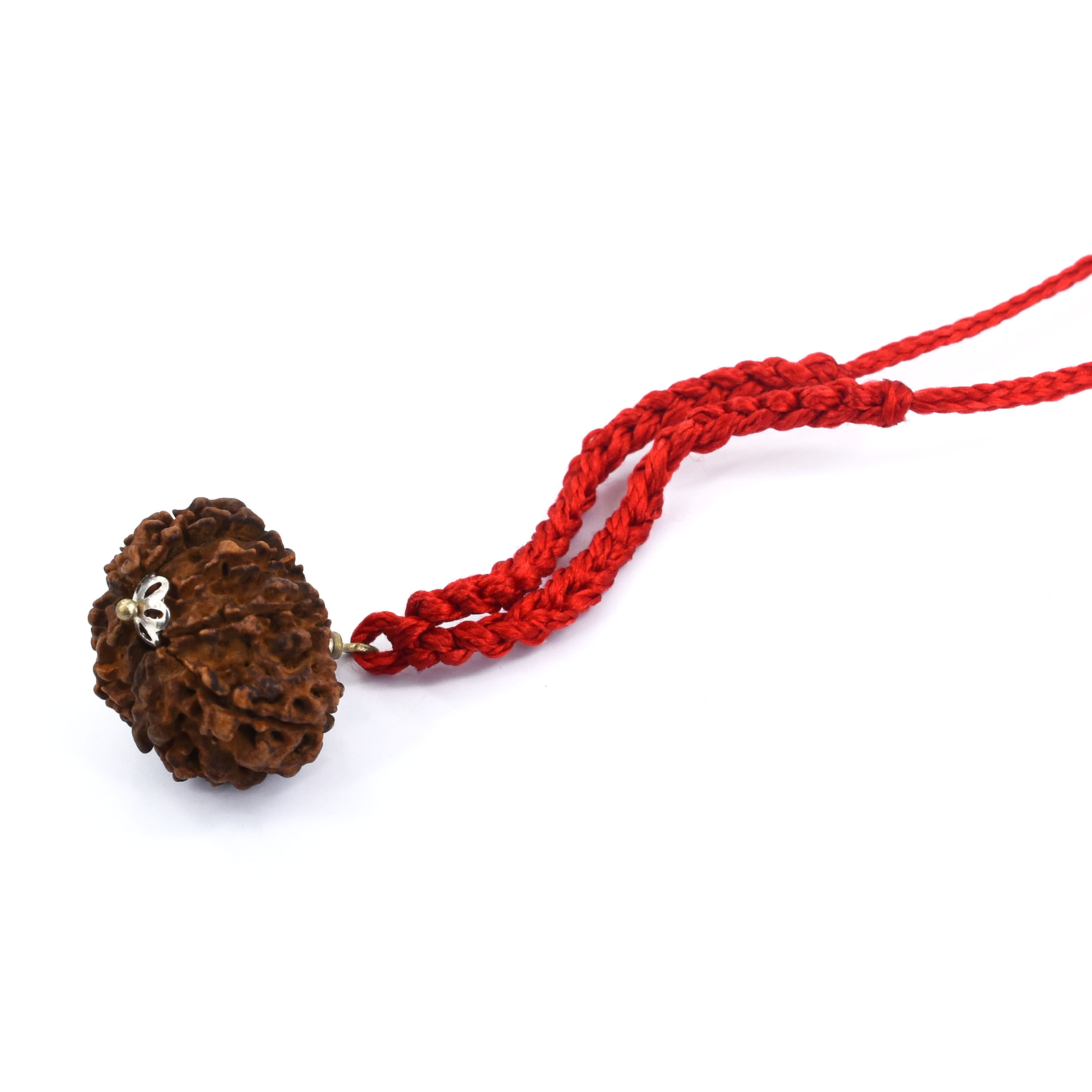 9 Mukhi Gauri Shankar Rudraksha Pendant (Nepal Origin) – Red Sacred Thread - Image 6