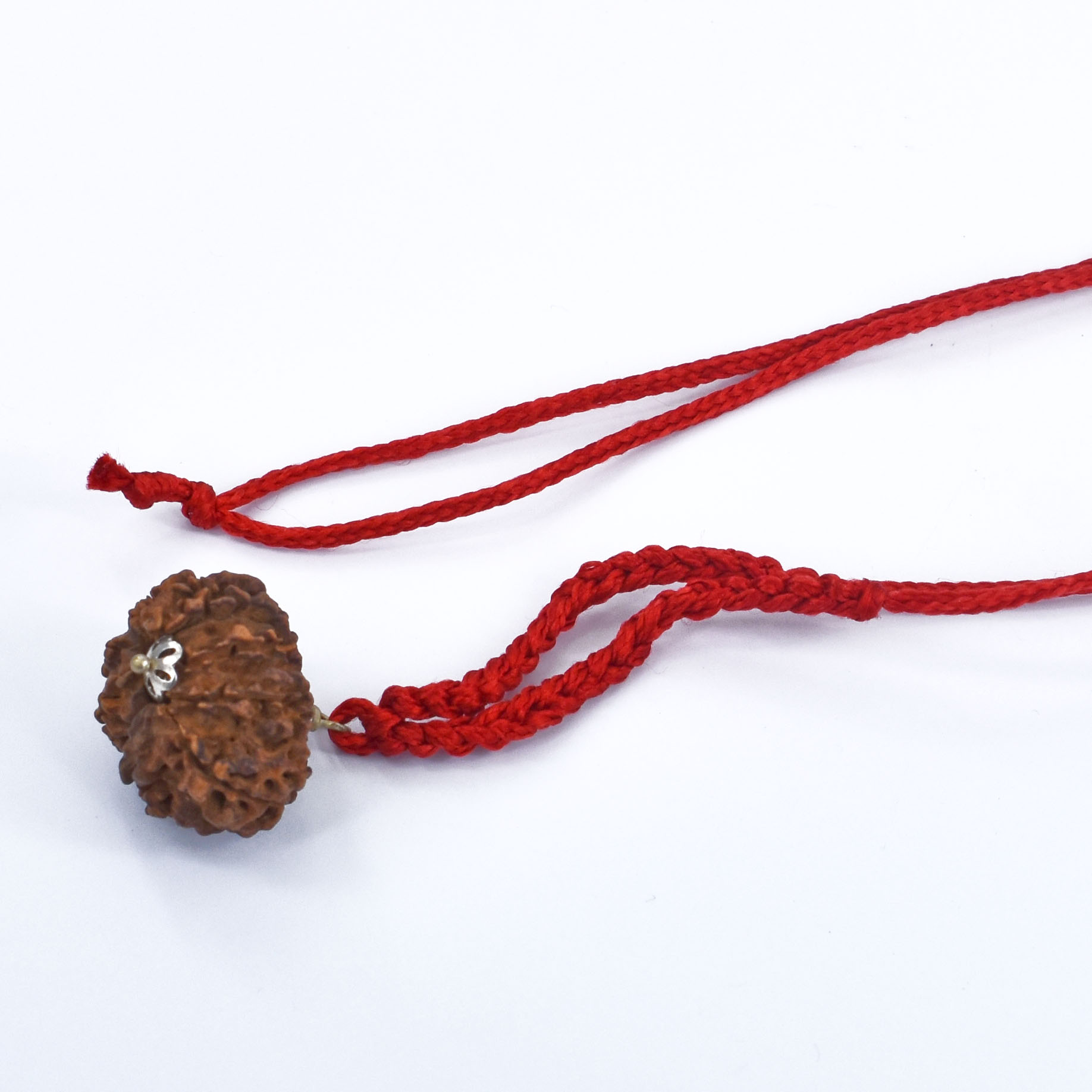 9 Mukhi Gauri Shankar Rudraksha Pendant (Nepal Origin) – Red Sacred Thread - Image 5