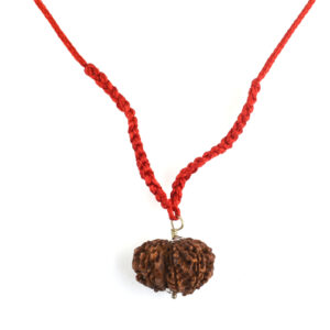 9 Mukhi Gauri Shankar Rudraksha Pendant (Nepal Origin) – Red Sacred Thread