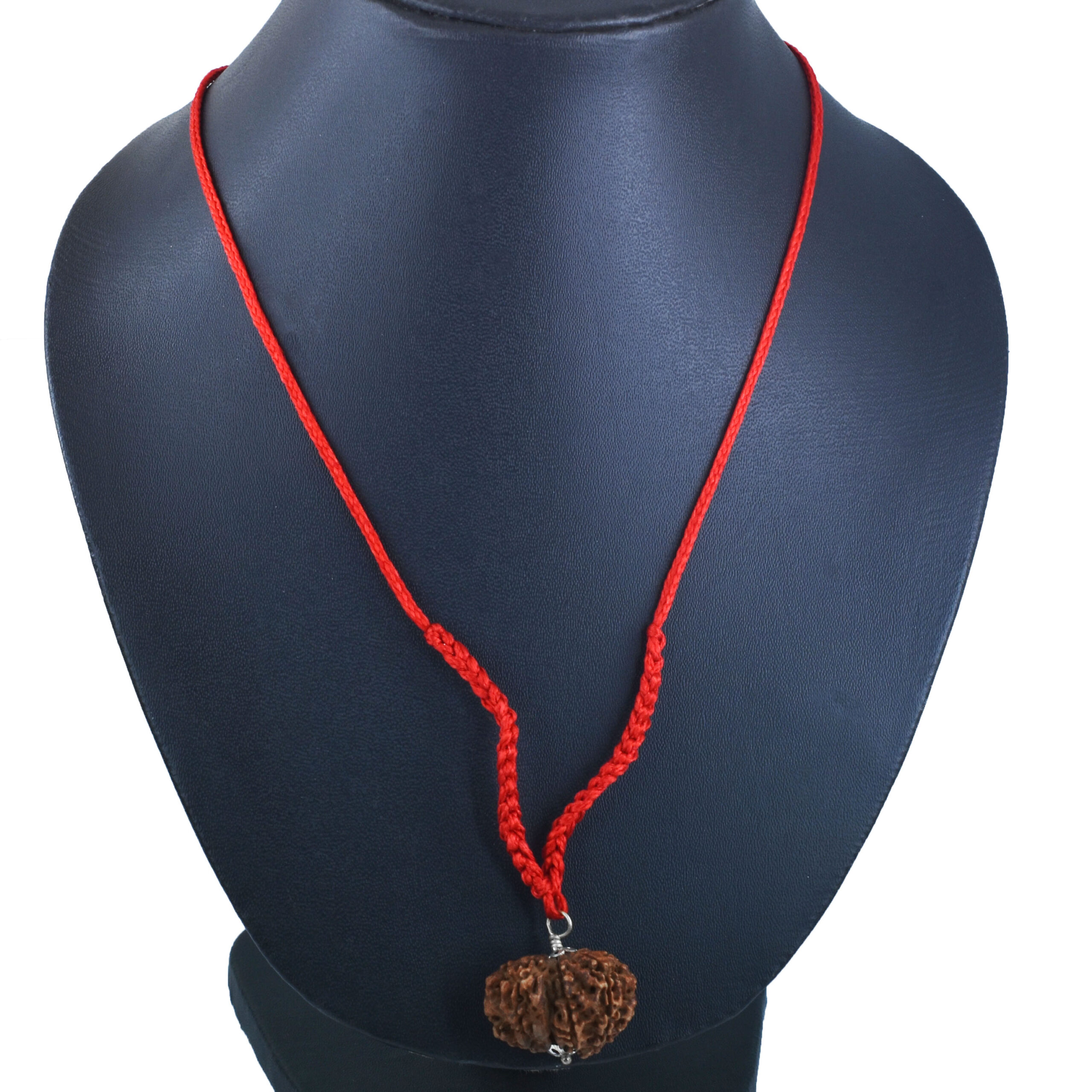9 Mukhi Gauri Shankar Rudraksha Pendant (Nepal Origin) – Red Sacred Thread - Image 3
