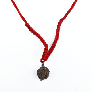 10 Mukhi Rudraksha Pendant with Sacred Red Thread