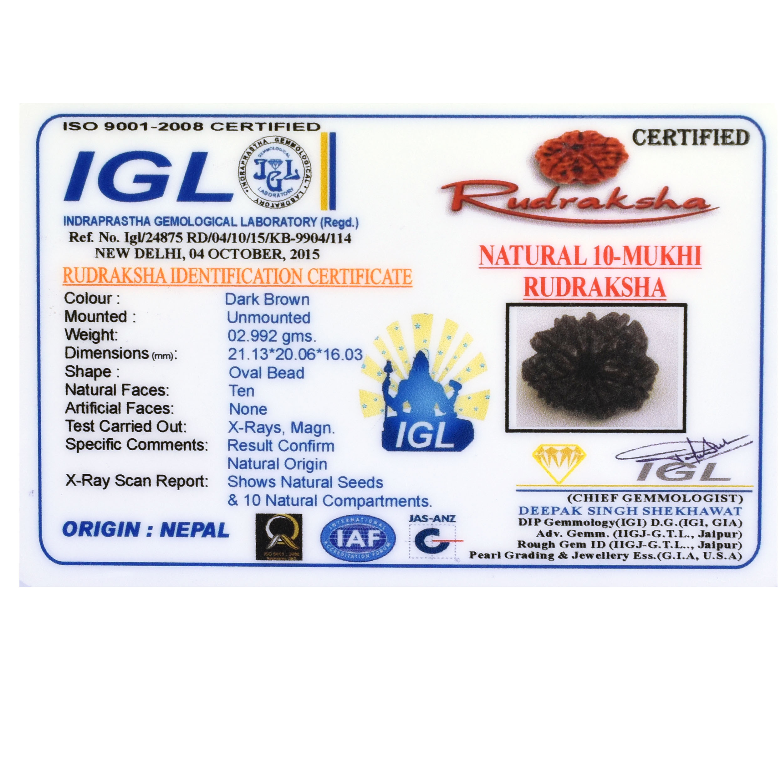 10 Mukhi Nepali Rudraksha Pendant – (Original Nepal) with Red Thread - Image 2