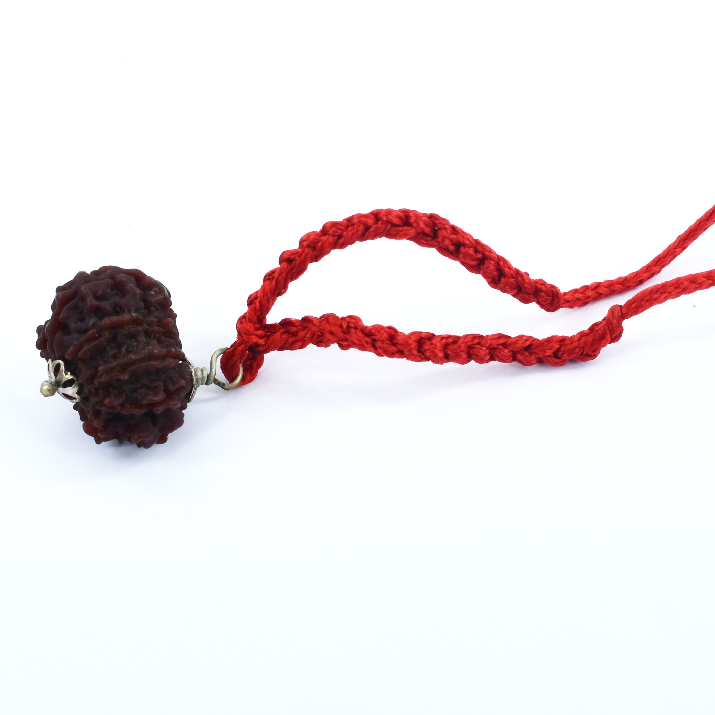10 Mukhi Nepali Rudraksha Pendant – (Original Nepal) with Red Thread - Image 6