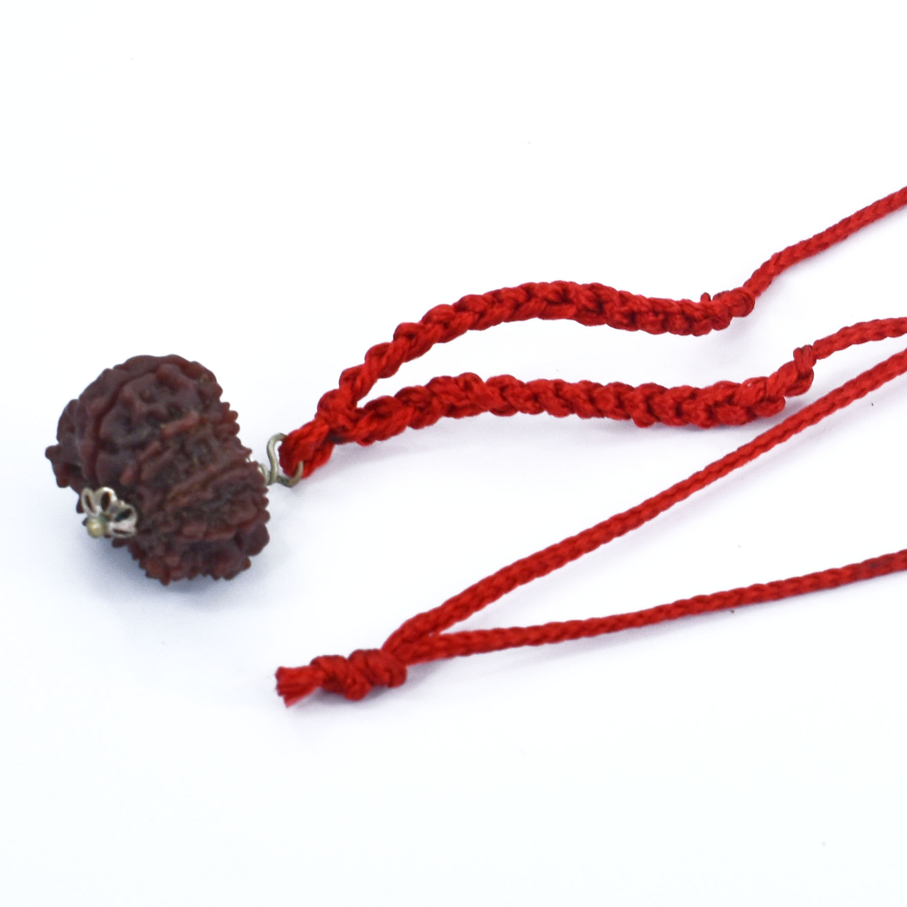 10 Mukhi Nepali Rudraksha Pendant – (Original Nepal) with Red Thread - Image 5