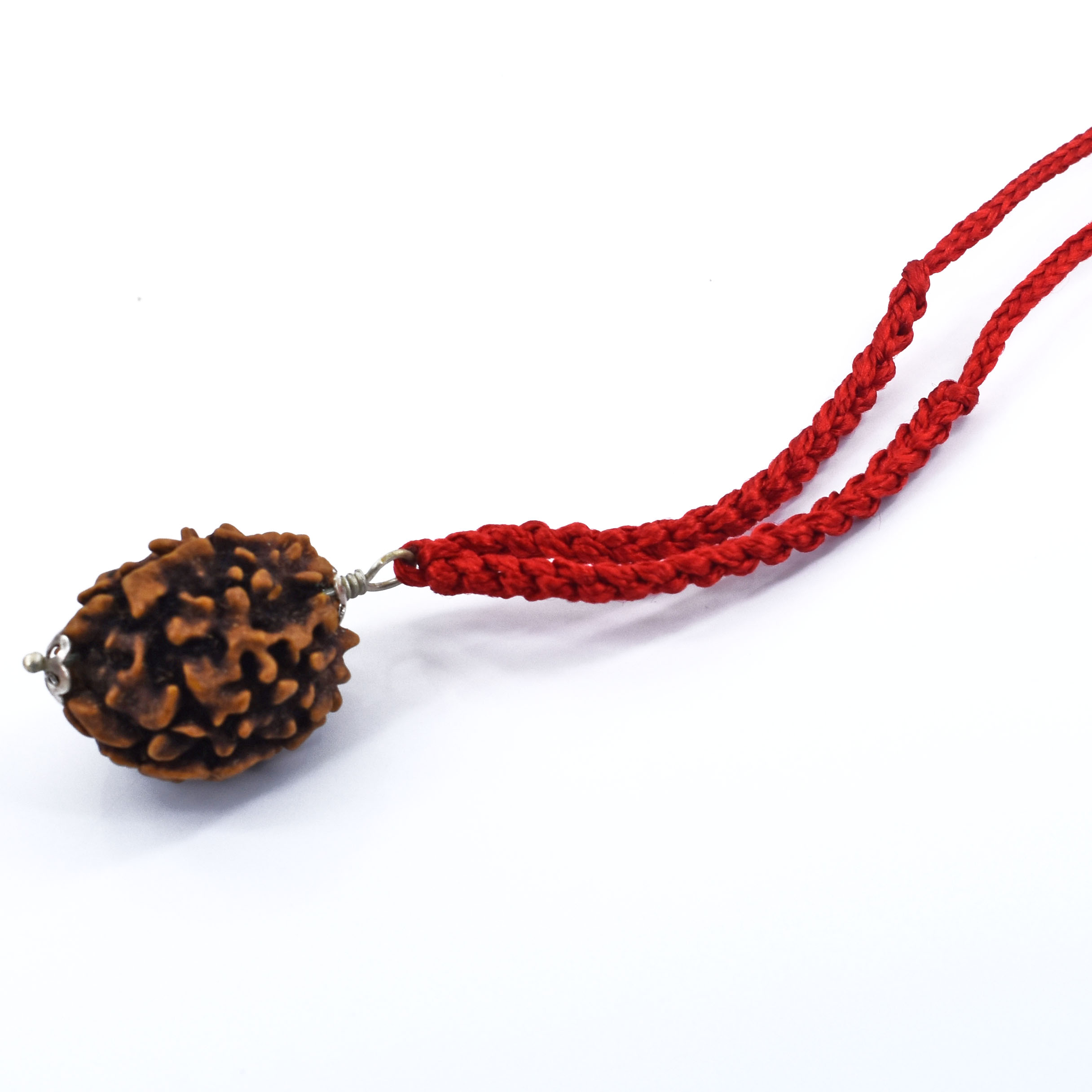 2 Mukhi Rudraksha Pendant (Nepal Origin) – Red Thread - Image 5