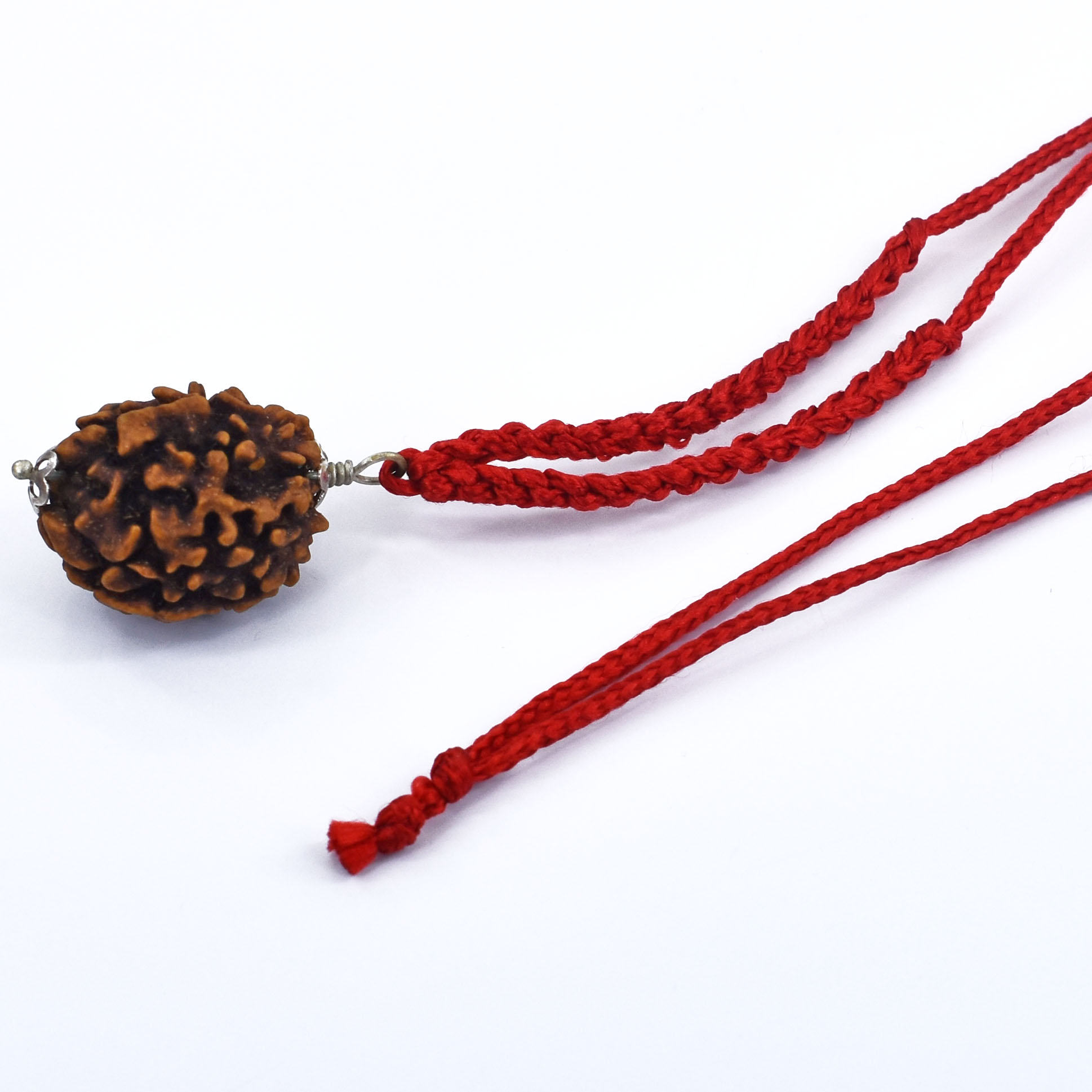 2 Mukhi Rudraksha Pendant (Nepal Origin) – Red Thread - Image 4