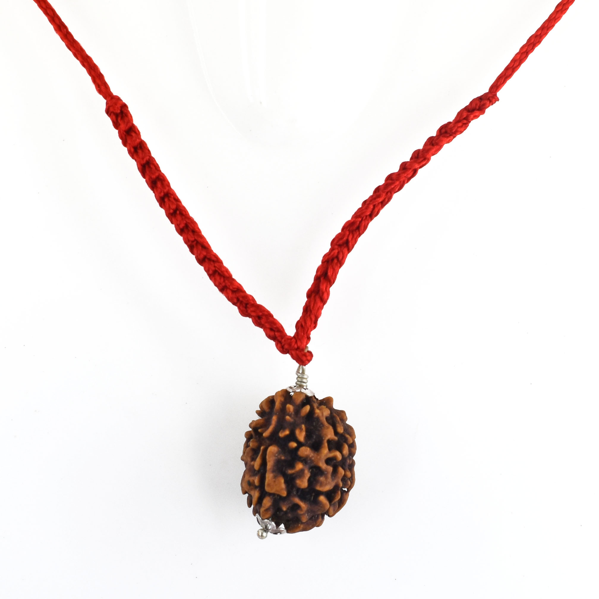 2 Mukhi Rudraksha Pendant (Nepal Origin) – Red Thread