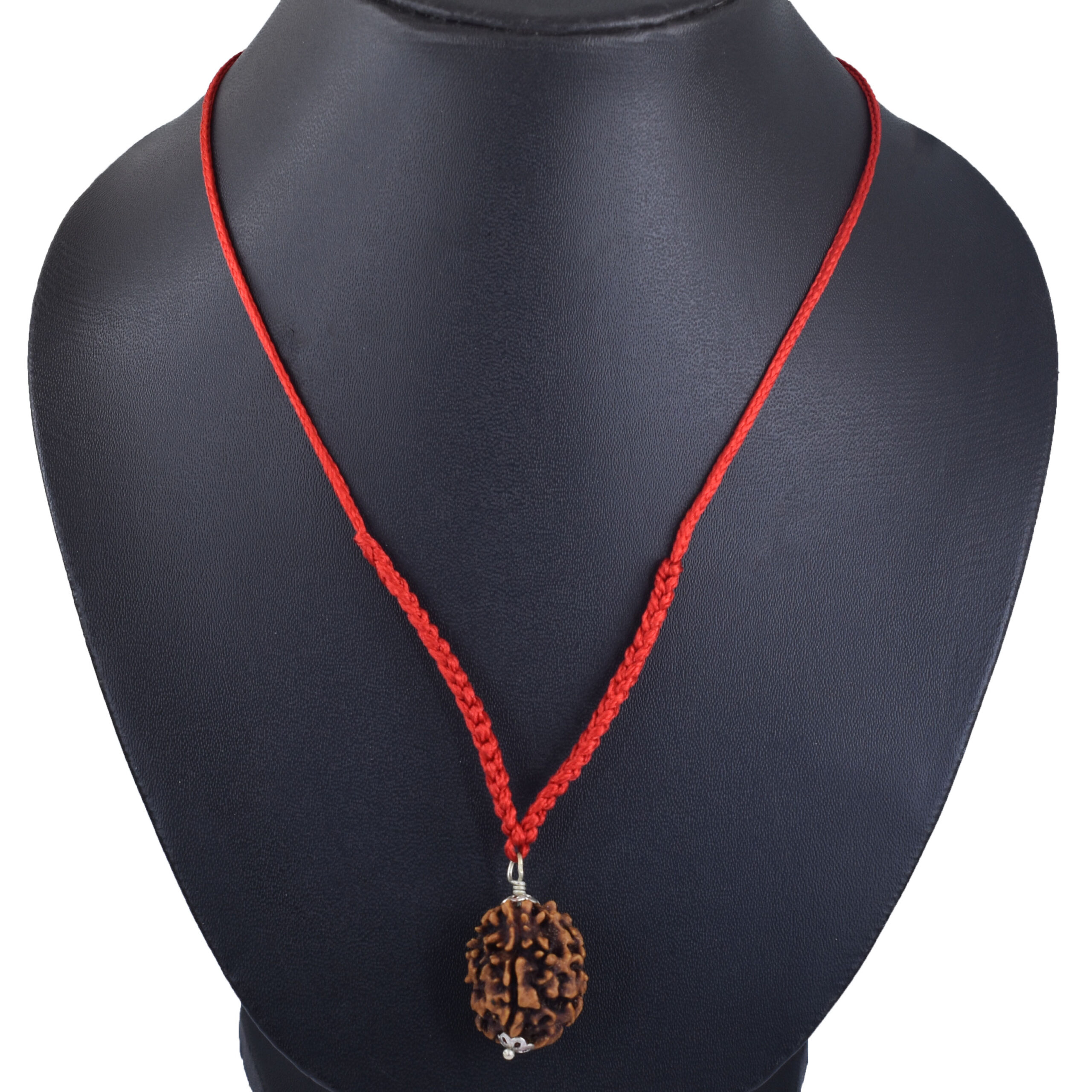 2 Mukhi Rudraksha Pendant (Nepal Origin) – Red Thread - Image 2