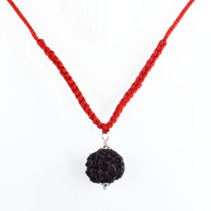 6 Mukhi Rudraksha Pendant with Red Thread (Nepali Origin)