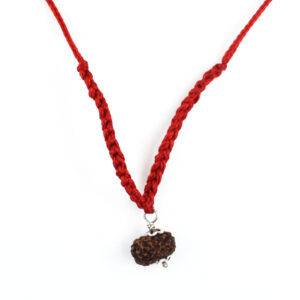 12 Mukhi Rudraksha Pendant (Napal- Origin) – Surya Rudraksha with Red Thread