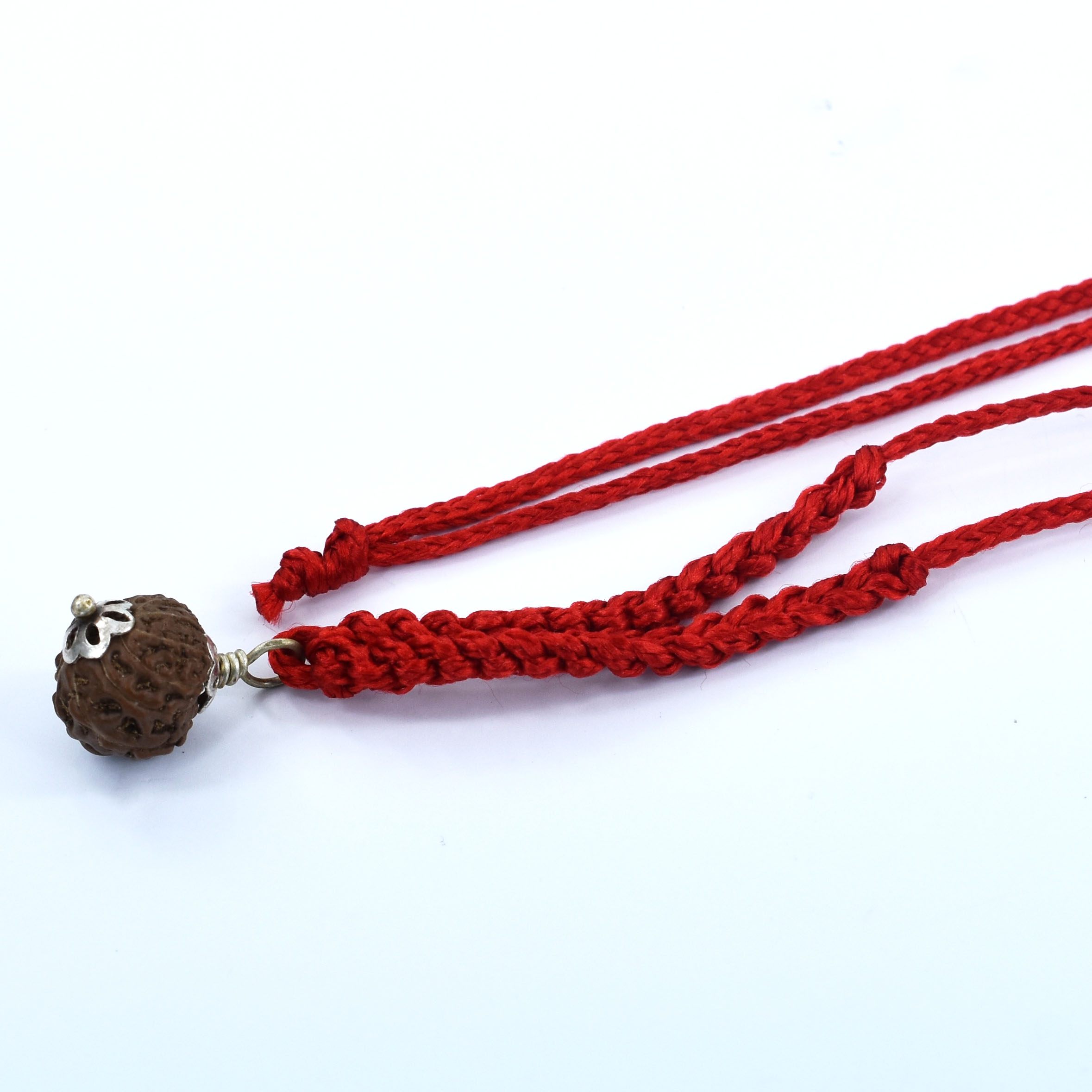 12 Mukhi Rudraksha Pendant (Nepali & Original) – Energized Surya with Red Thread - Image 4