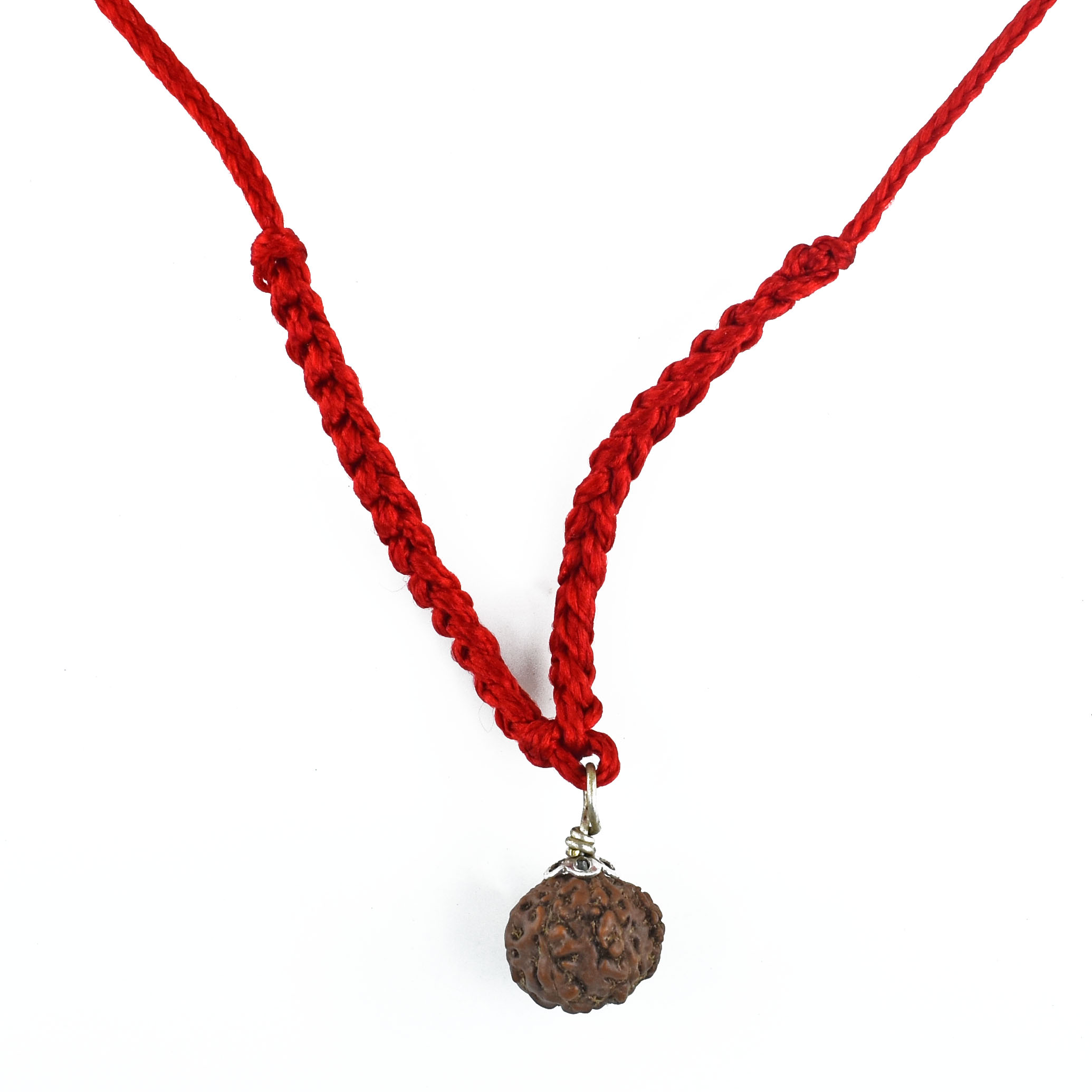 12 Mukhi Rudraksha Pendant (Nepali & Original) – Energized Surya with Red Thread