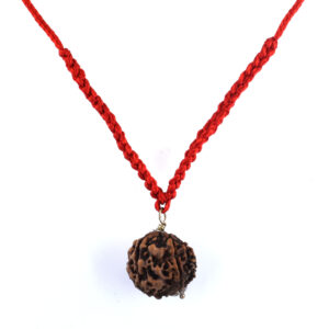 8 Mukhi Garbh Gauri Rudraksha Pendant (Nepal Origin) | Natural Joint  Red Thread