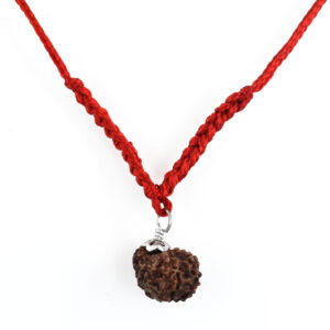 15 Mukhi Rudraksha Pendant | Nepal Origin Red Thread