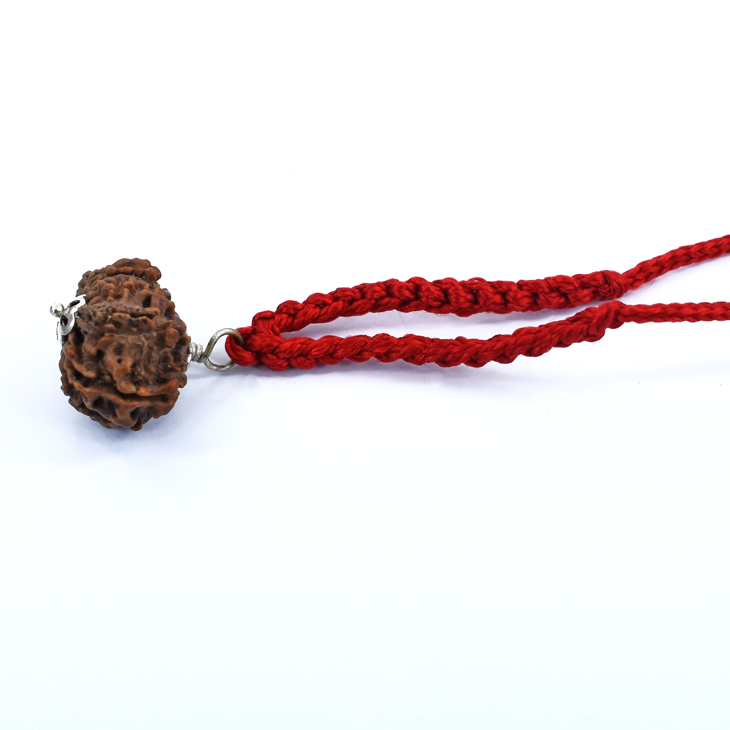 12 Mukhi Rudraksha (Origin Nepal) – Sun Energy Red Thread Pendant - Image 5