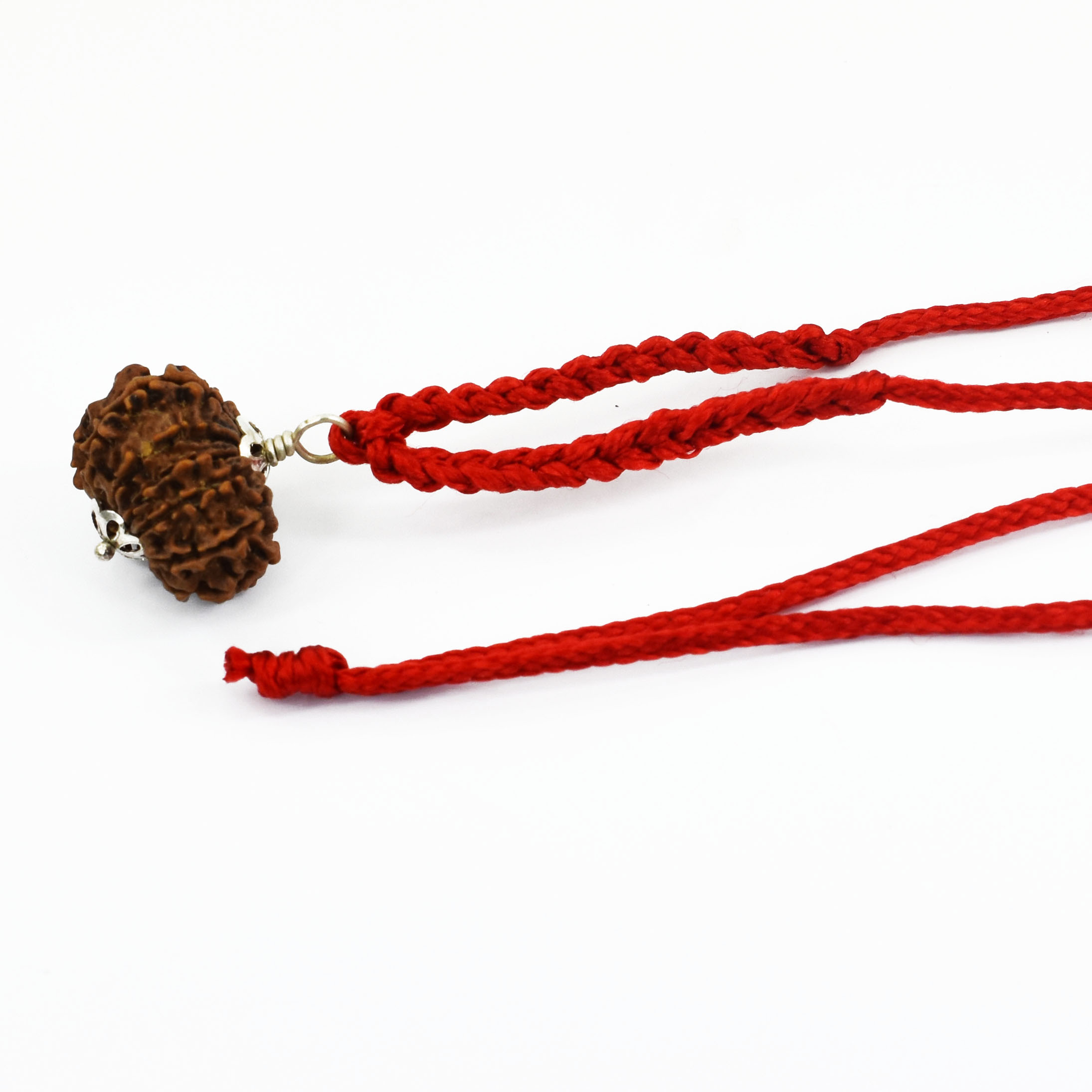12 Mukhi Rudraksha (Origin Nepal) – Sun Energy Red Thread Pendant - Image 4
