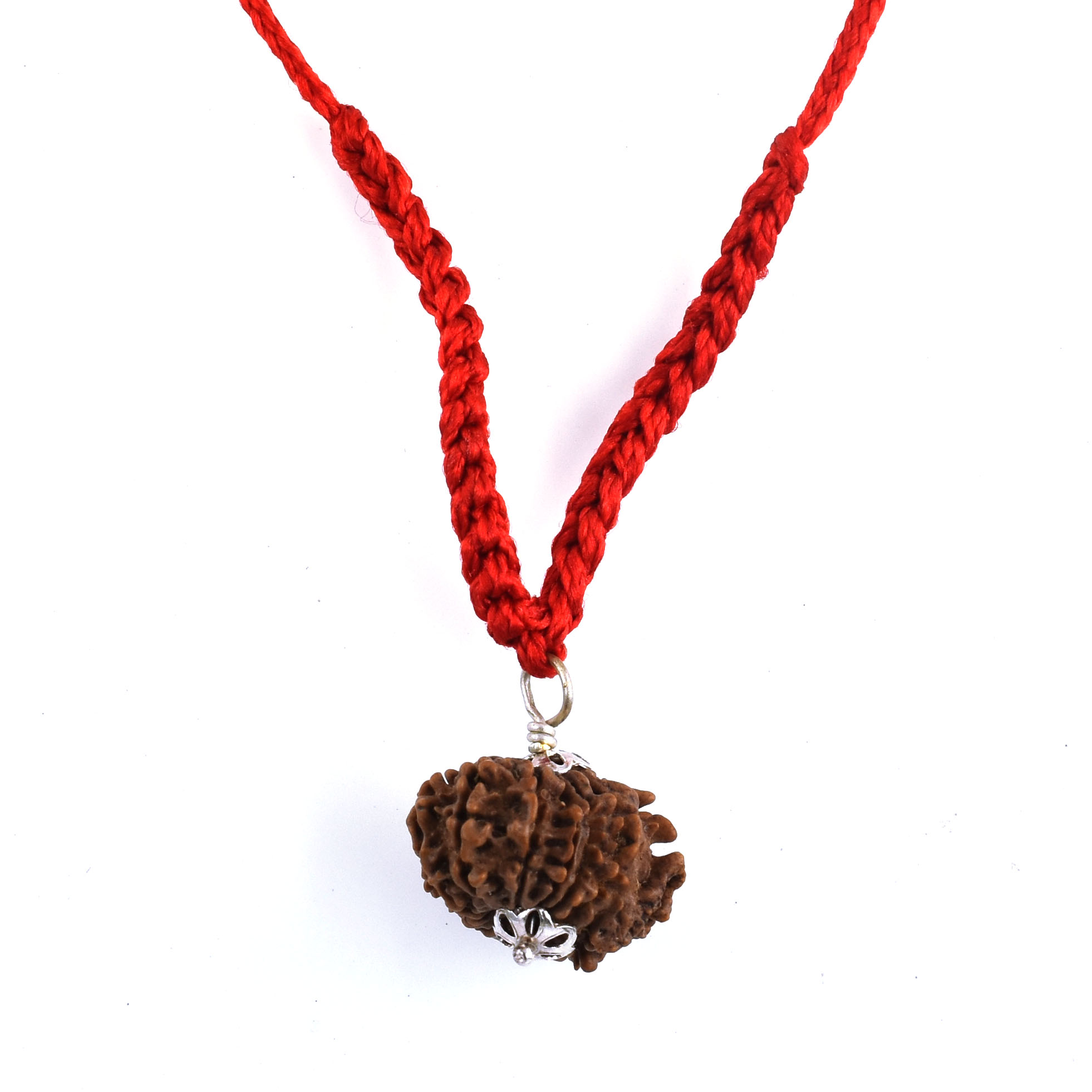 12 Mukhi Rudraksha (Origin Nepal) – Sun Energy Red Thread Pendant