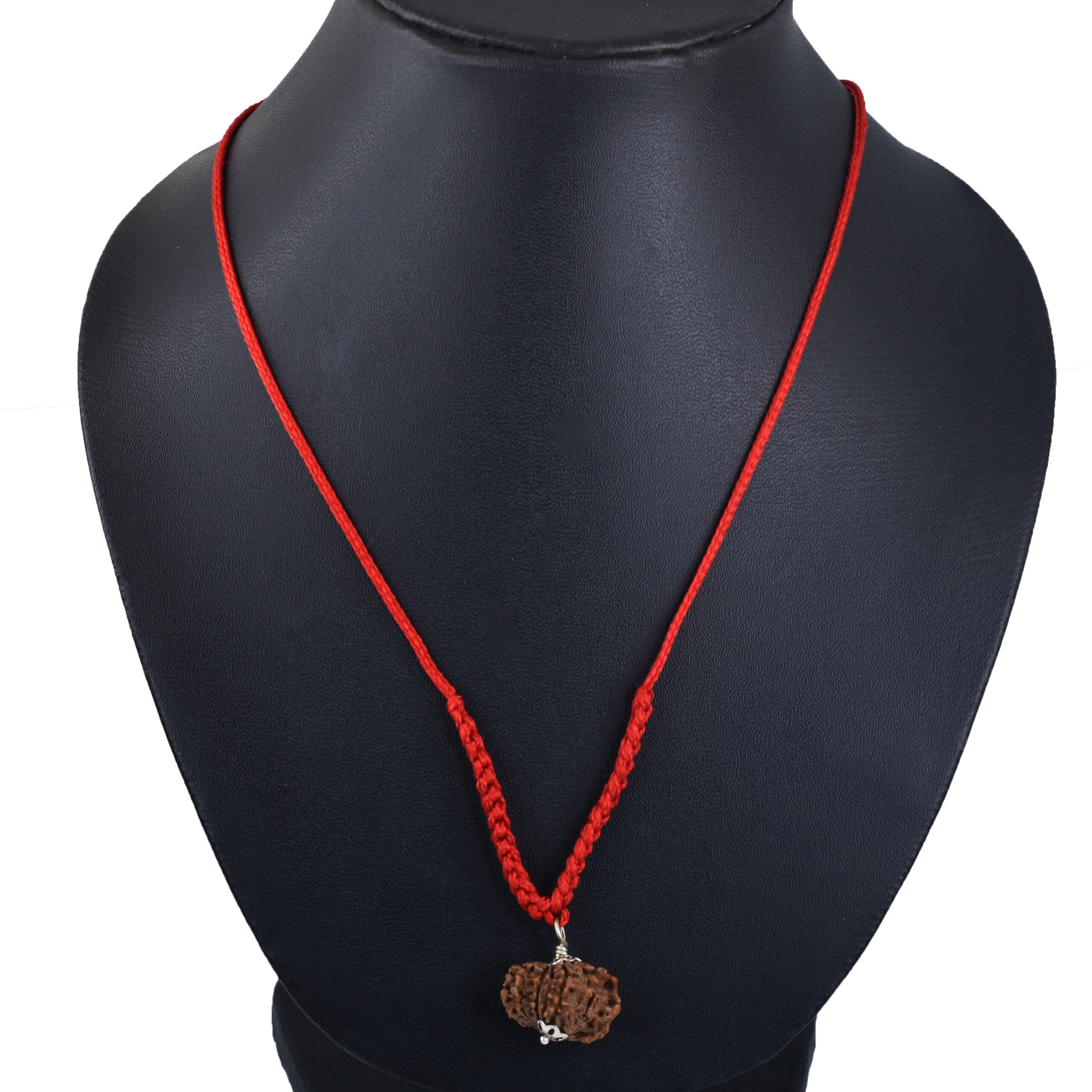 12 Mukhi Rudraksha (Origin Nepal) – Sun Energy Red Thread Pendant - Image 2