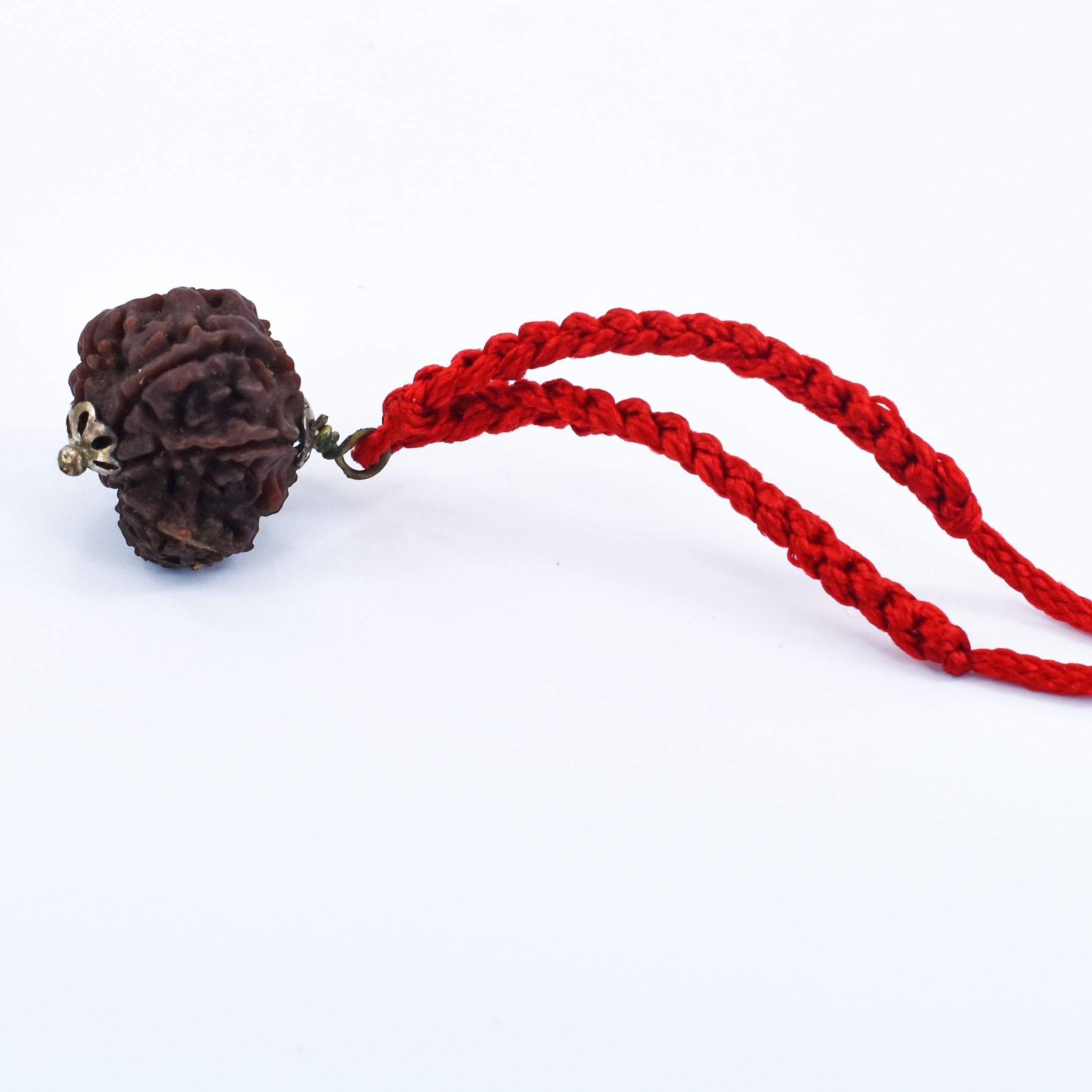 8 Mukhi Rudraksha Pendant (Nepal Origin) –Red Adjustable Thread - Image 6