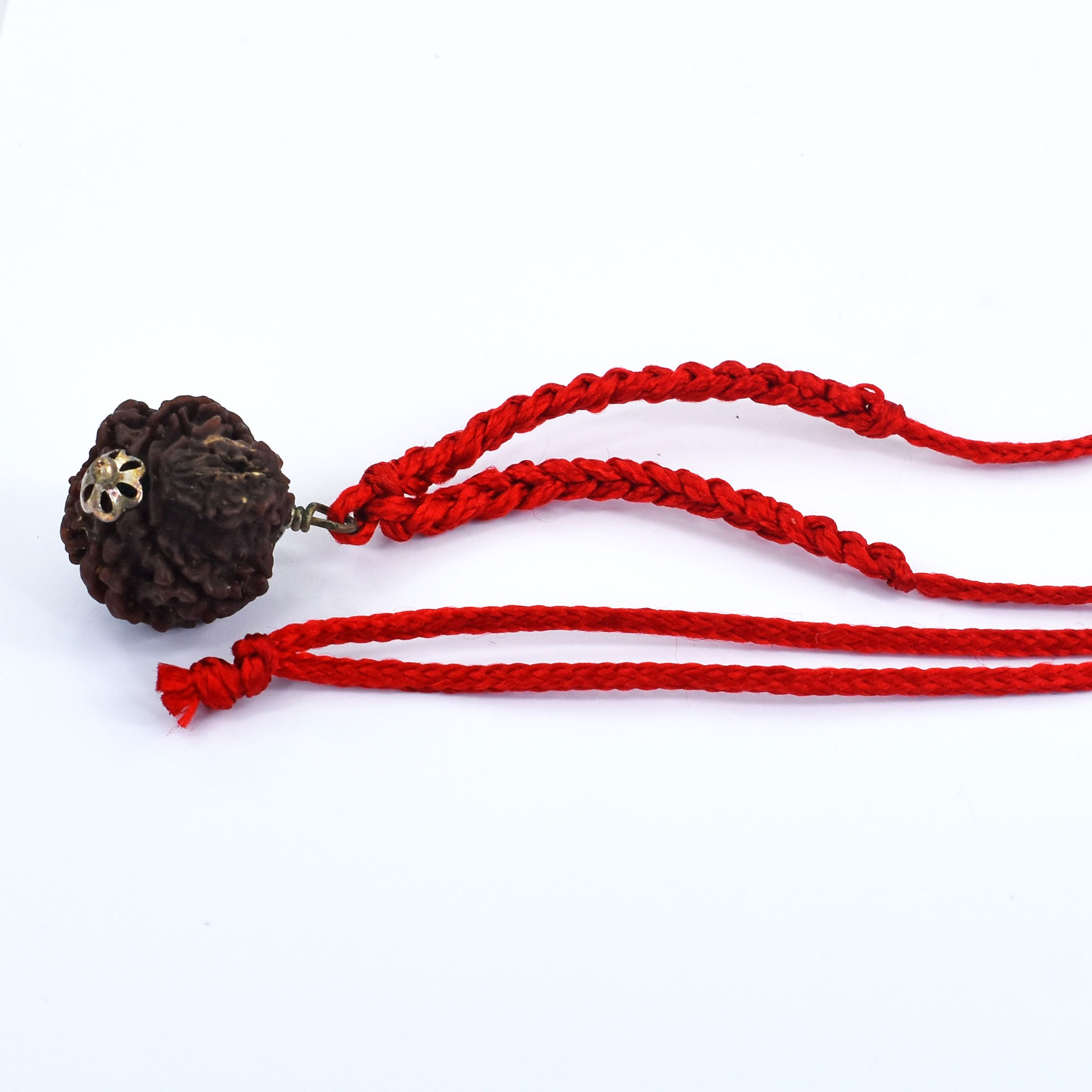 8 Mukhi Rudraksha Pendant (Nepal Origin) –Red Adjustable Thread - Image 5