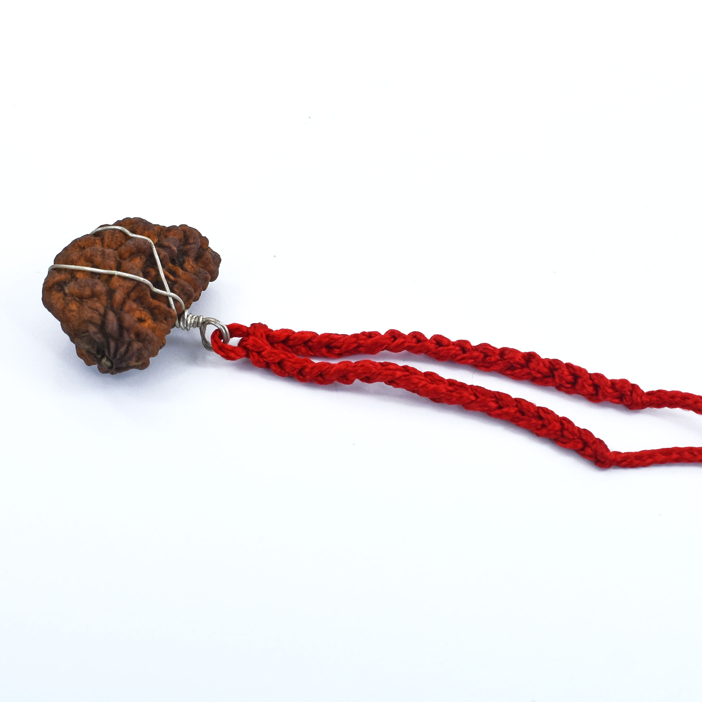 1 Mukhi Rudraksha Pendant – (Napal Original) with Sacred Red Thread - Image 5