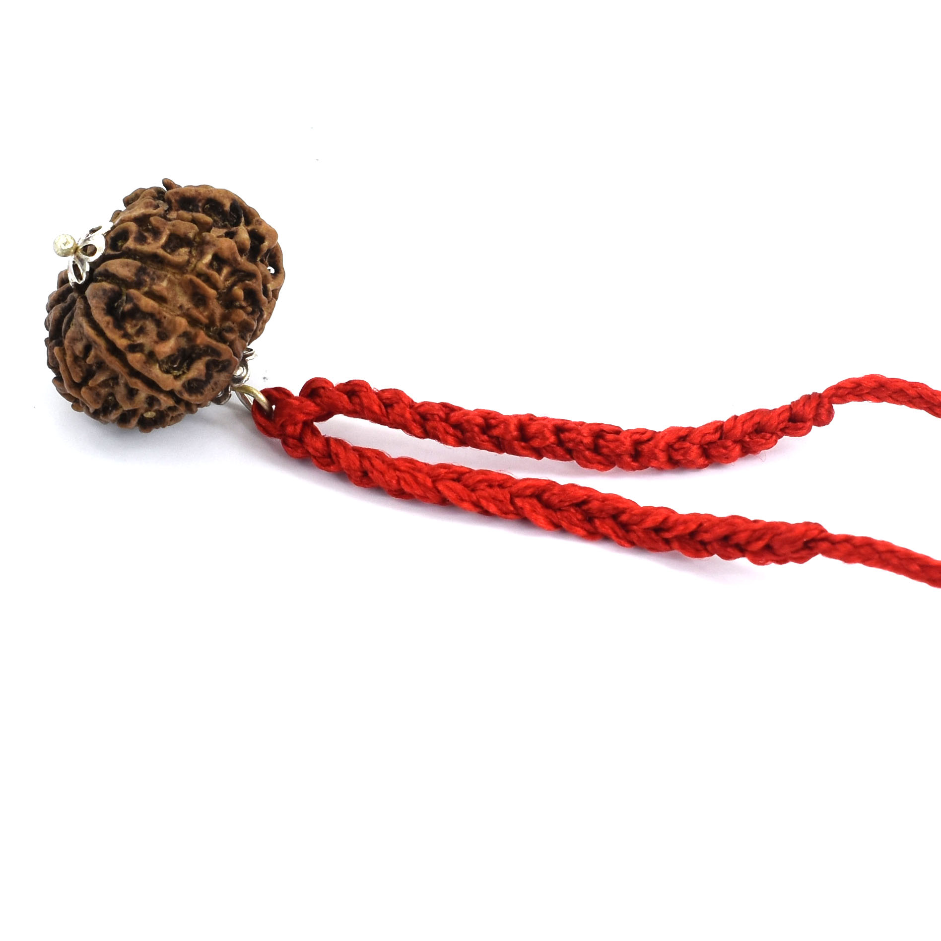 12 Mukhi Nepal Rudraksha Pendant – Surya Dev Blessings Bead in Red Thread - Image 5