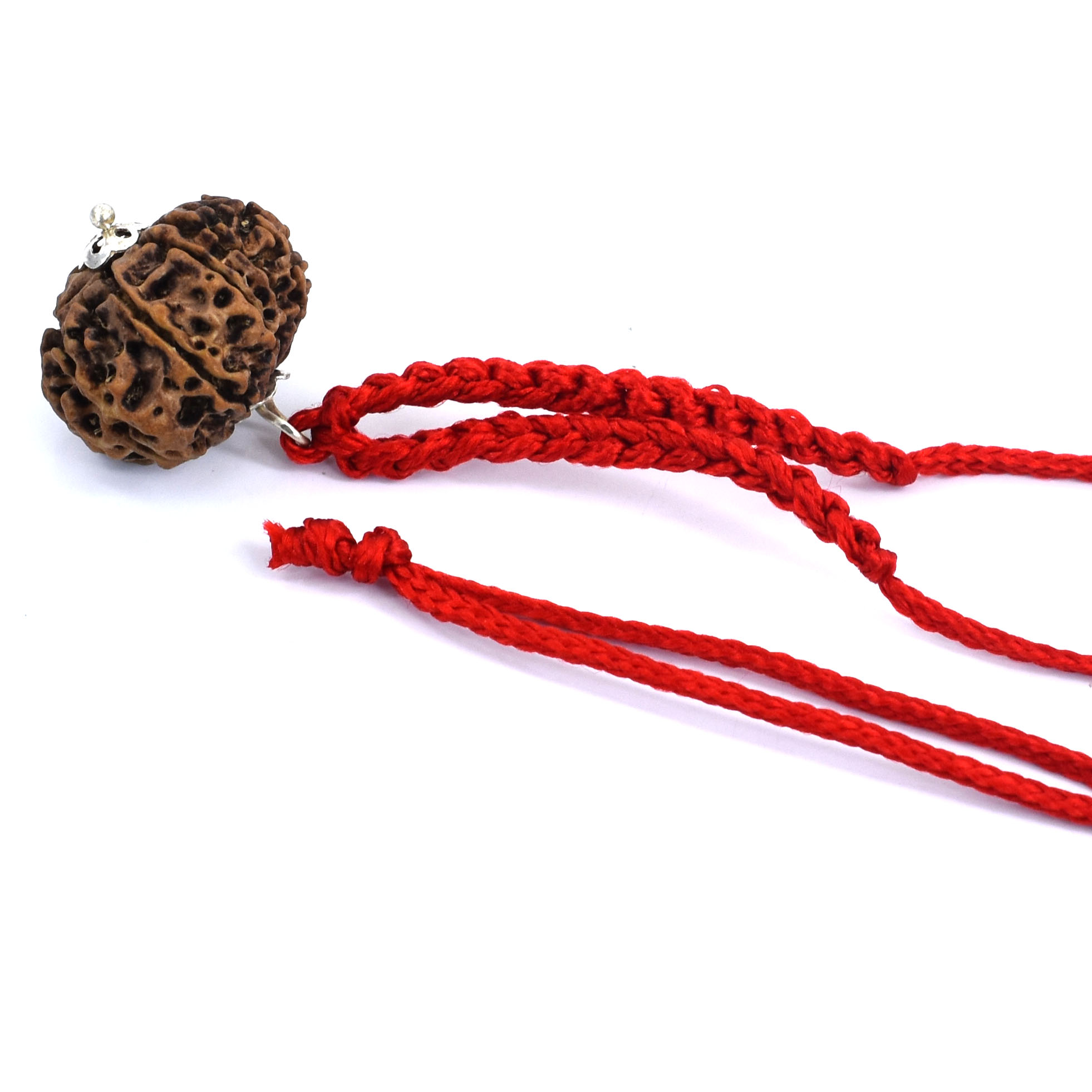 12 Mukhi Nepal Rudraksha Pendant – Surya Dev Blessings Bead in Red Thread - Image 4