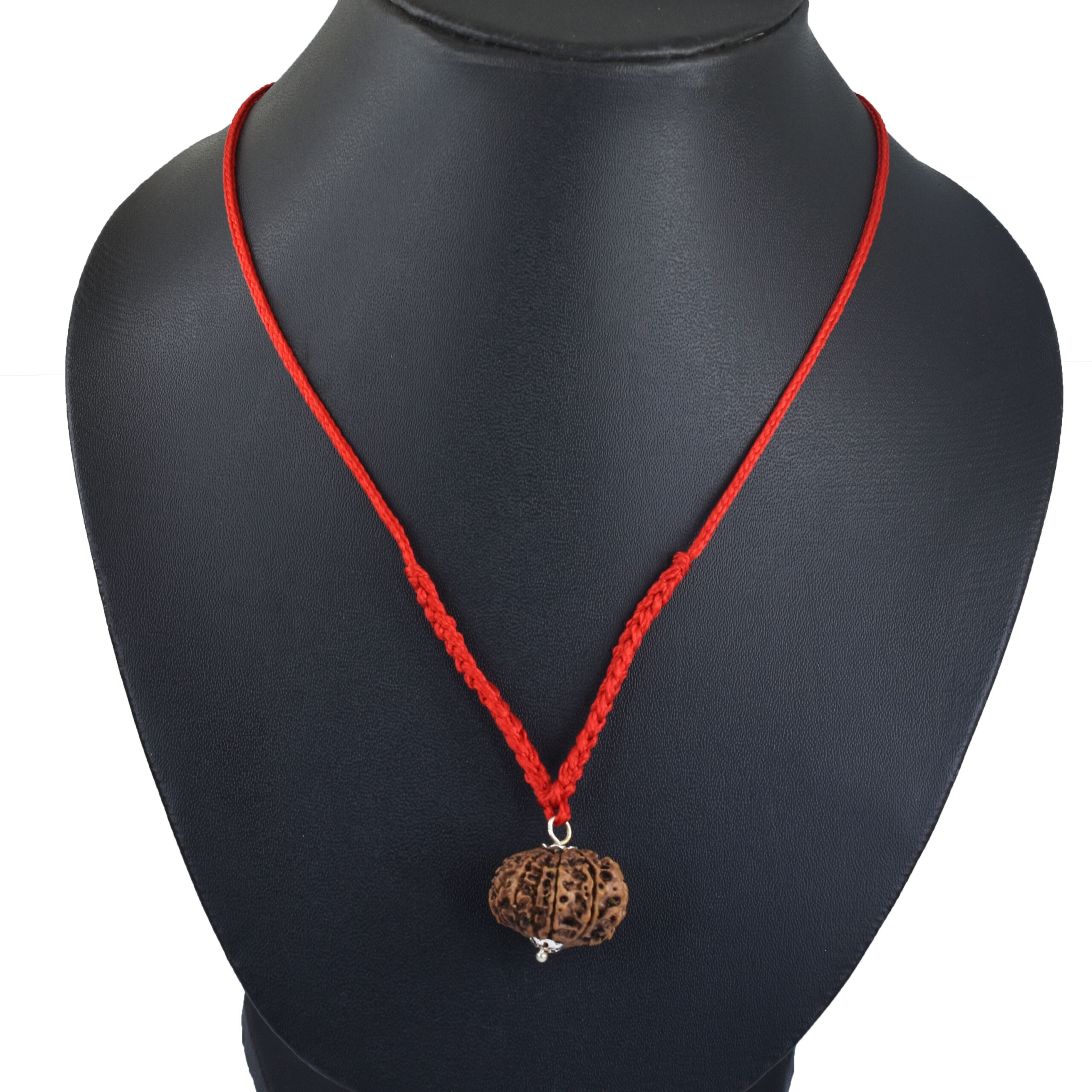 12 Mukhi Nepal Rudraksha Pendant – Surya Dev Blessings Bead in Red Thread - Image 2