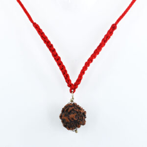 Nirmukhi Rudraksha Pendant (Nepal Origin) – Lab Tested