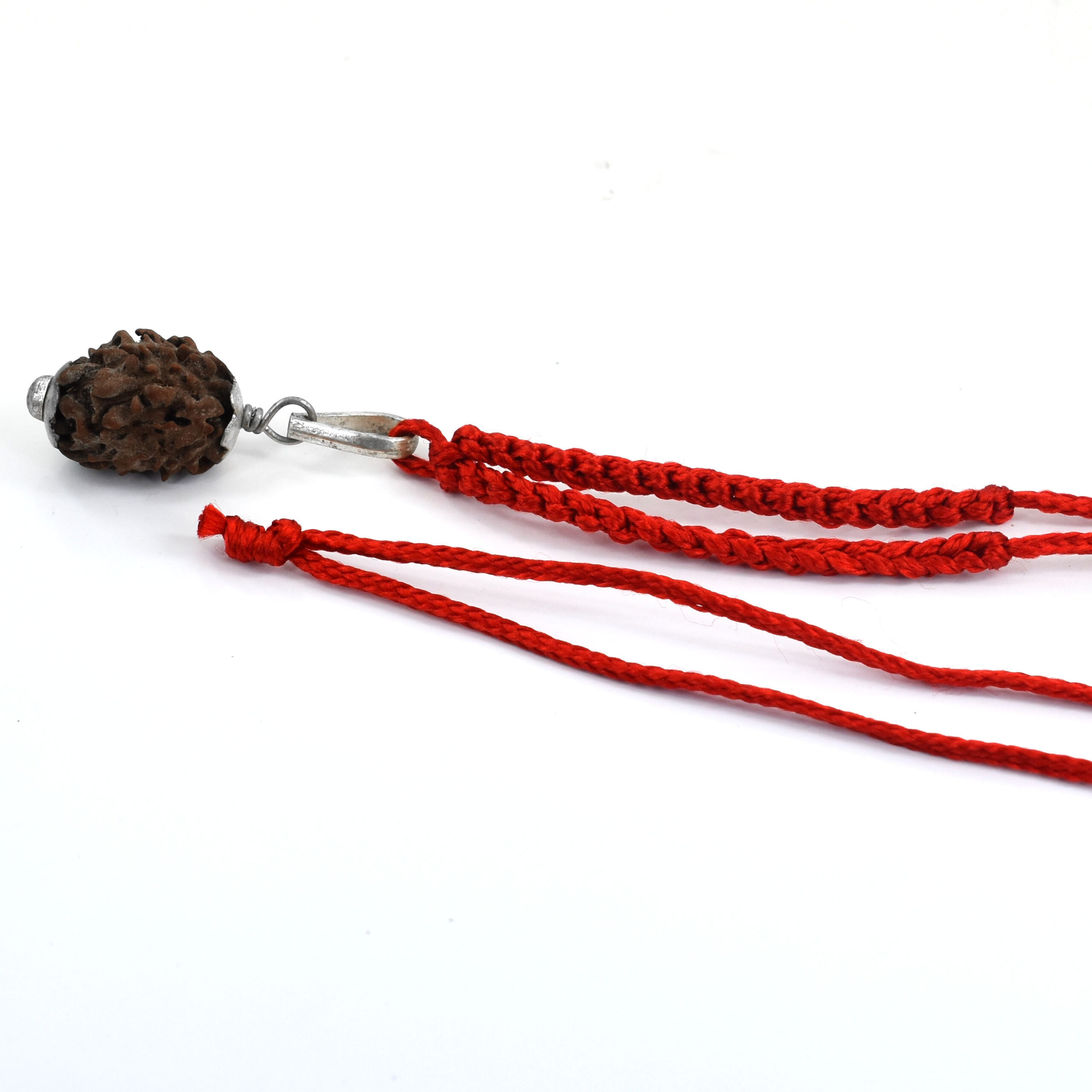 3 Mukhi Rudraksha Pendant in Red Thread (Origin Napal) - Image 4