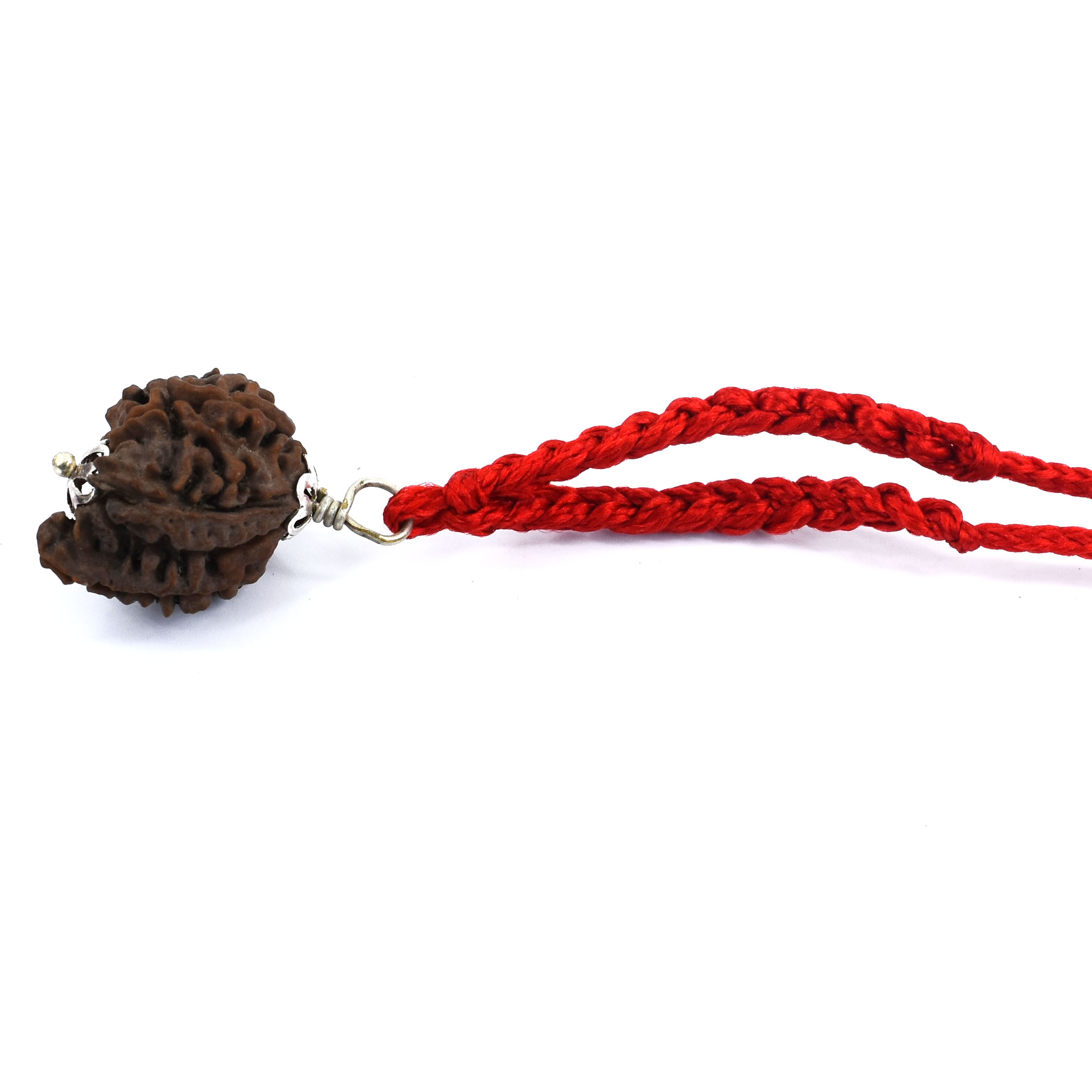 5 Mukhi Double Ganesh Rudraksha (Nepal Origin) –Pendant Red Thread - Image 4