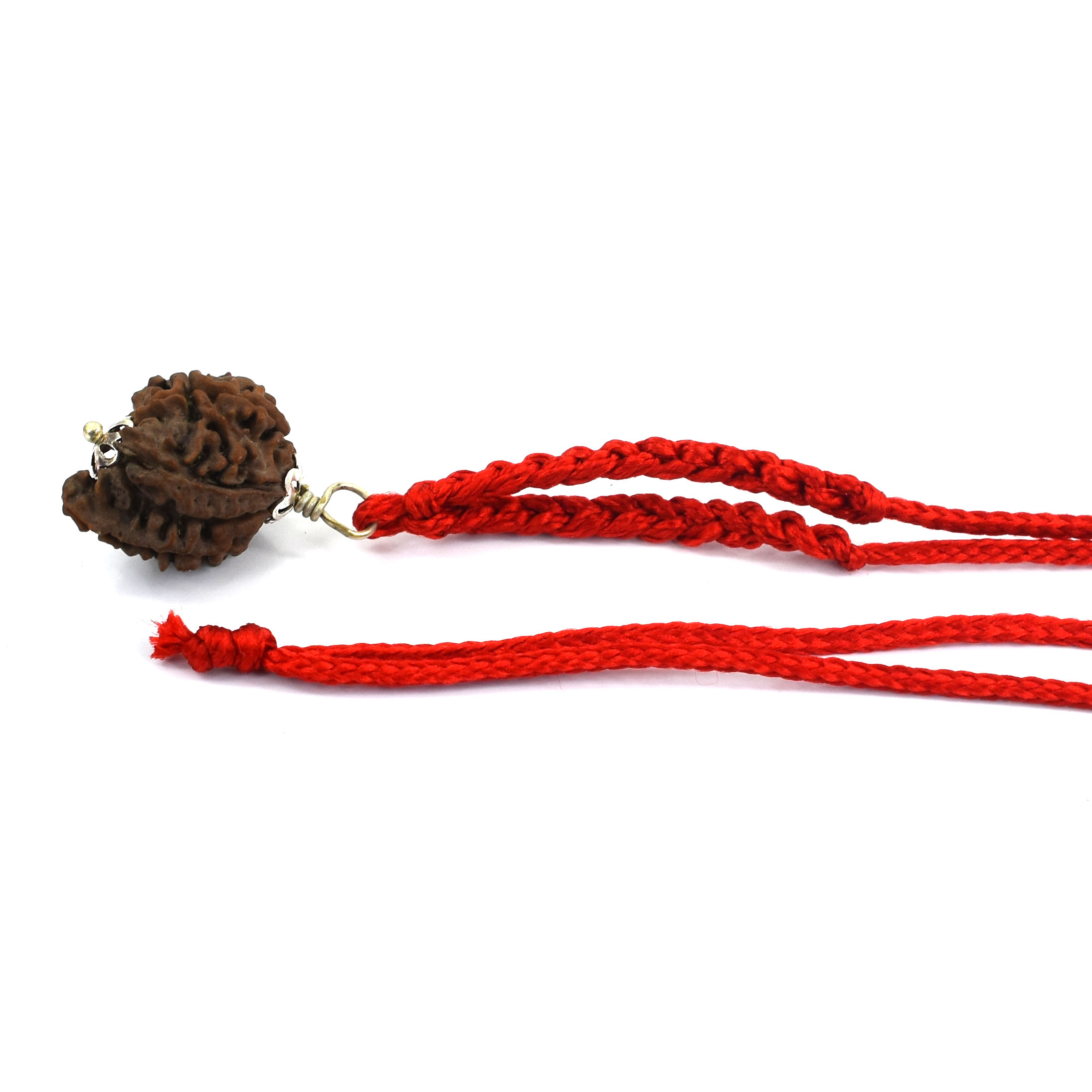 5 Mukhi Double Ganesh Rudraksha (Nepal Origin) –Pendant Red Thread - Image 5