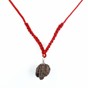 5 Mukhi Double Ganesh Rudraksha (Nepal Origin) –Pendant Red Thread
