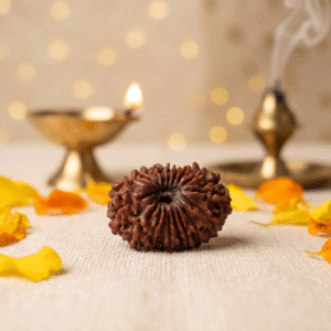 Natural 18 Mukhi Rudraksha Original Eighteen Face Sacred Bead