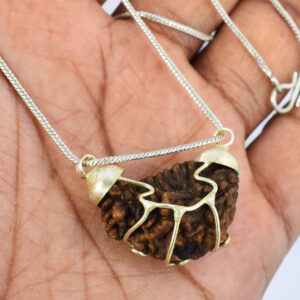 1 Mukhi Rudraksha Pendant (Half Moon Kaju Shape) –(Napal Original) Silver Cap