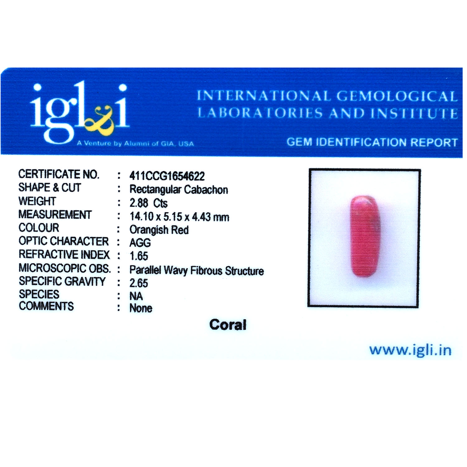 Natural Red Coral (Moonga) Gemstone – Certified Astrological Gem - Image 2