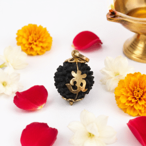 Natural 1 Mukhi Rudraksha Pendant | Original One Mukhi Rudraksha in Gold-Plated Cap