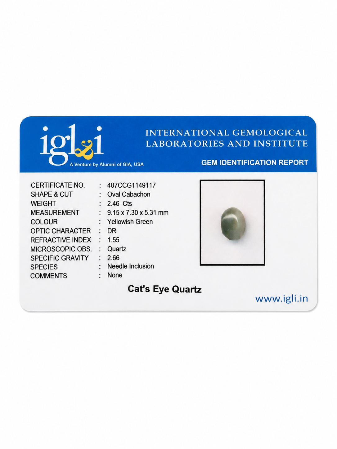 Natural Cat's Eye Quartz (Lehsunia) – 2.46 Carat IGLI Certified Gemstone - Image 4