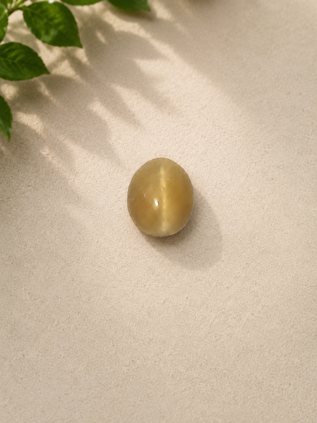 Natural Cat's Eye Quartz (Lehsunia) Gemstone – 2.74 Carats Certified Oval Cabochon
