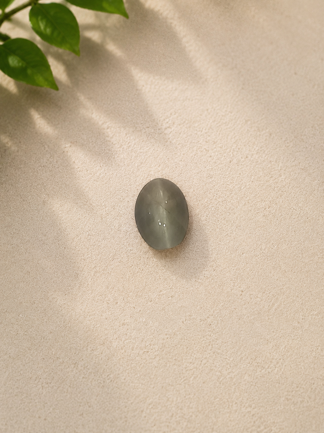 Natural Cat’s Eye Quartz (Lehsunia) Gemstone – 1.68 Carat Certified Oval Cabochon