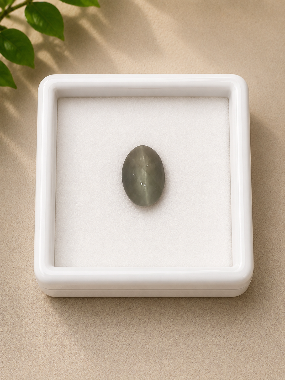 Natural Cat’s Eye Quartz (Lehsunia) Gemstone – 1.68 Carat Certified Oval Cabochon - Image 5
