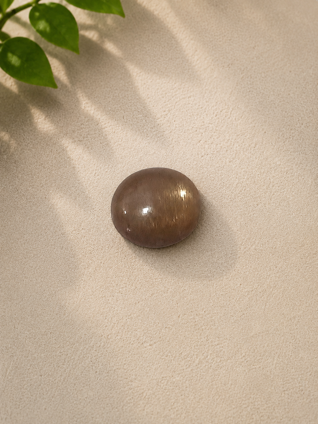 Natural Brown Cat's Eye Quartz Cabochon – 7.50 Carat Certified Gemstone