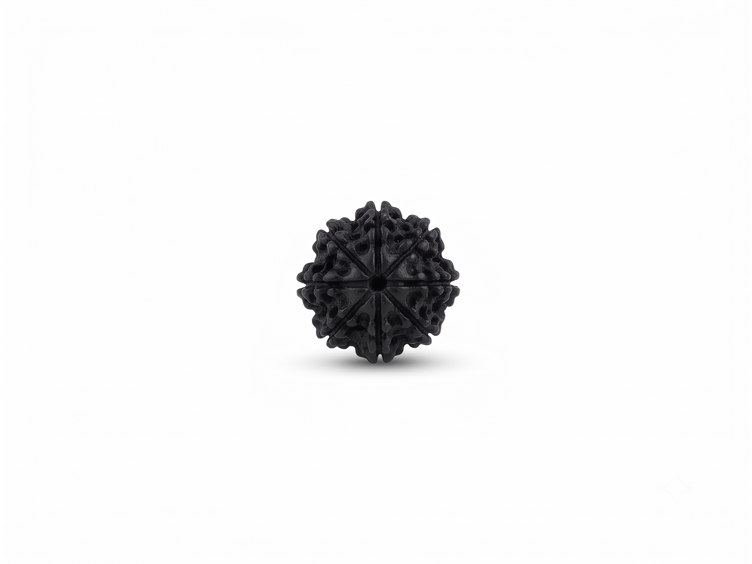 Natural 9 Mukhi Rudraksha (Nine Faced Rudraksha) | Original Certified Nepali Rudraksha Bead - Image 3